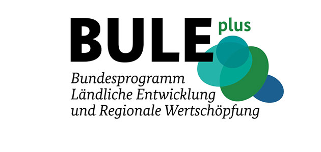 logo-buleplus.jpg