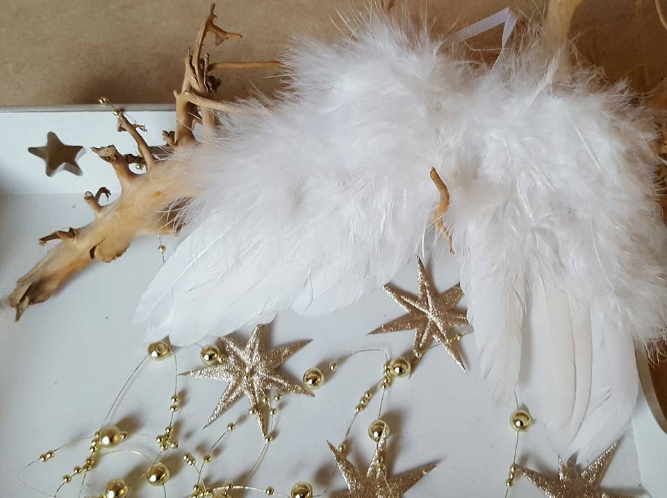 Das Foto zeigt eine rote Mohnblume im grünen Gras.